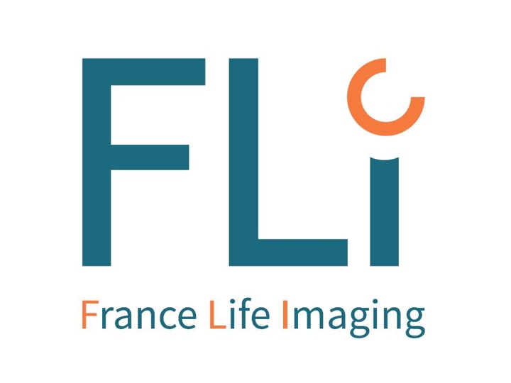 logo-FLI
